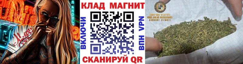 Где купить Светлоград Бошки Шишки  Амфетамин  Галлюциногенные грибы  ГАШИШ  КОКАИН  Меф  блэк спрут   Alpha PVP 