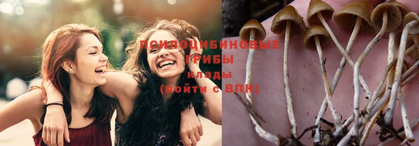 Альфа ПВП Алзамай