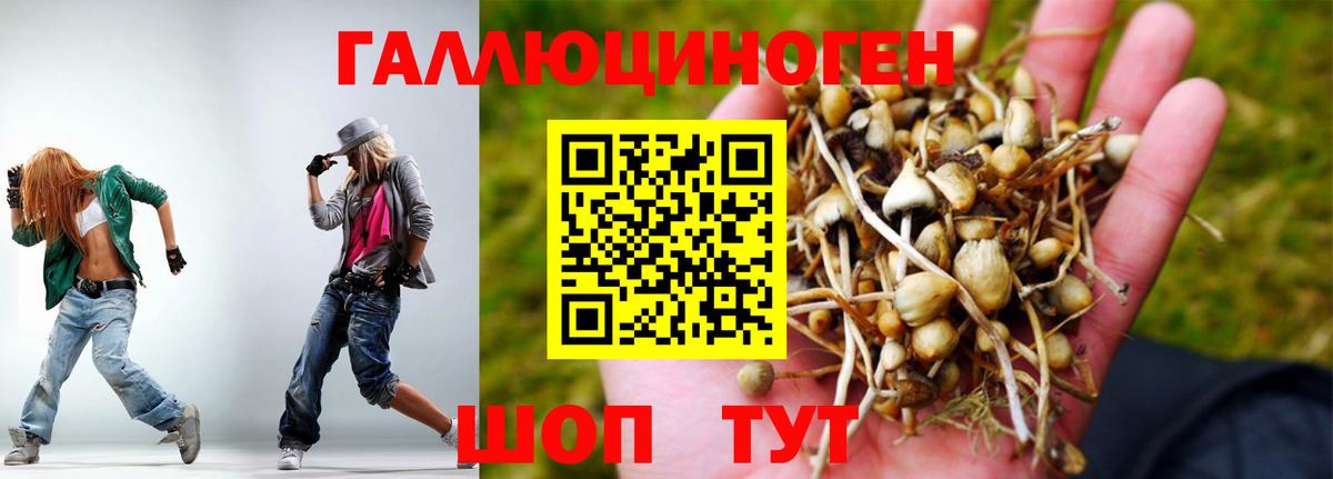 Галлюциногенные грибы мицелий  Псилоцибиновые грибы Cubensis  Вход с VPN  Светлоград 