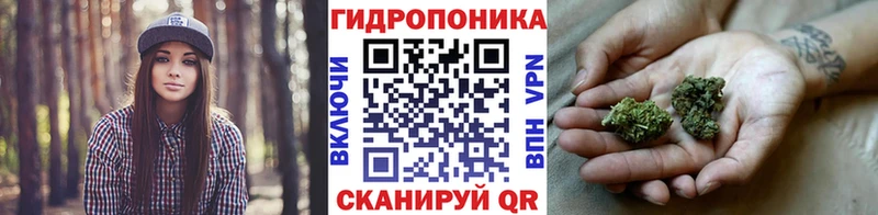 Каннабис индика закладки Светлоград